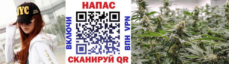 Бошки марихуана SATIVA & INDICA Лагань